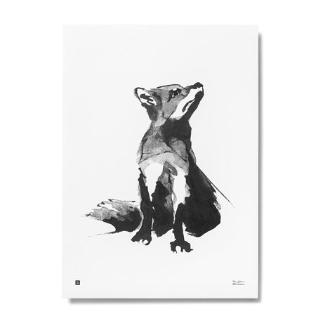 Poster Red Fox