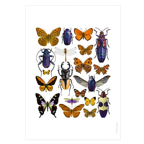 Print Bugs purple & Orange